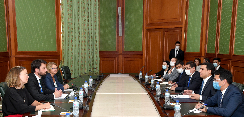 The Head of the OSCE/ODIHR Observation Mission visited the Ministry of Foreign Affairs