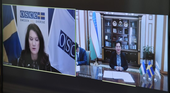 The Chairperson of the Senate holds talks with the OSCE Chairperson-in-Office