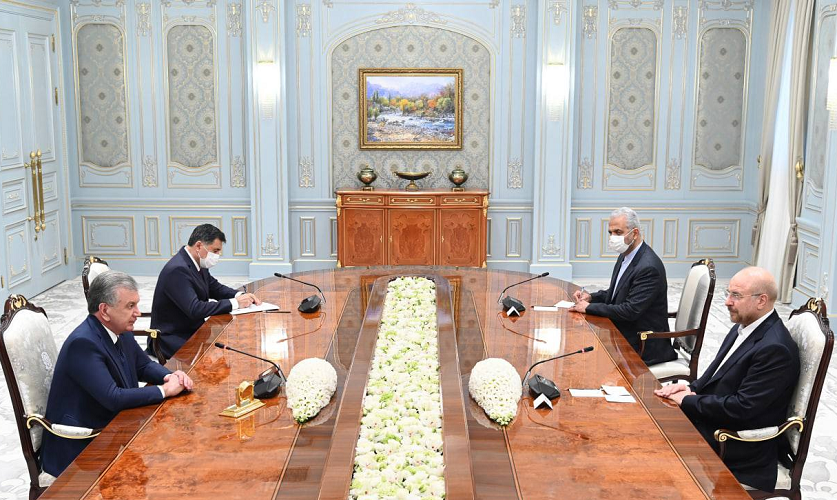 The President of Uzbekistan received the Speaker of the Parliament of Iran