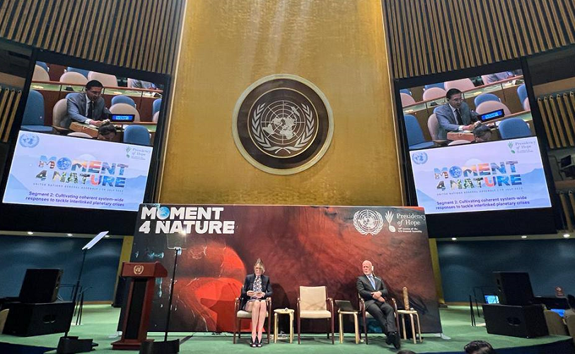 The progress of implementation of the national project “Green Space” presented at the High-level Thematic Debate of the UN General Assembly 
