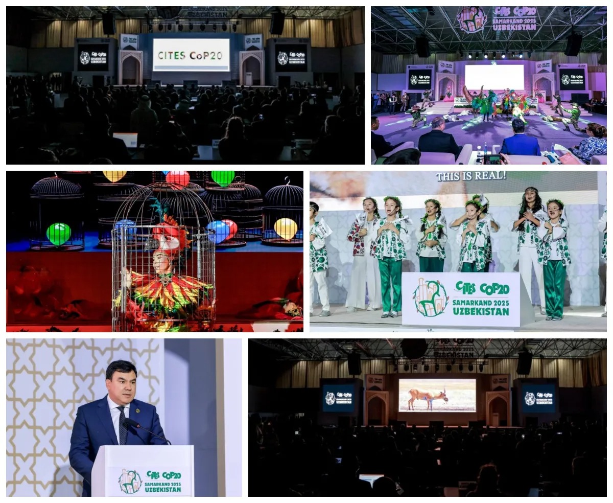 Samarkand hosts CITES CoP20: Central Asian nations strengthen cooperation to protect wildlife