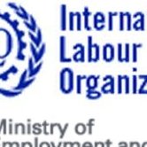 SPHERE OF EMPLOYMENT OF UZBEKISTAN THROUGH THE EYES OF FOREIGN SPECIALISTS