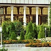 В Ташкенте проходит заседание Сената Олий Мажлиса